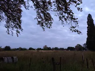 Venta 6Has. 6.600m2 zona Urbana (100x50) 5.000m2 Apto Subdividir en Lotes 1.100m2 todos frente a Av. San Martín y zona Rural 1.100m2 Escritura en Colo foto 5