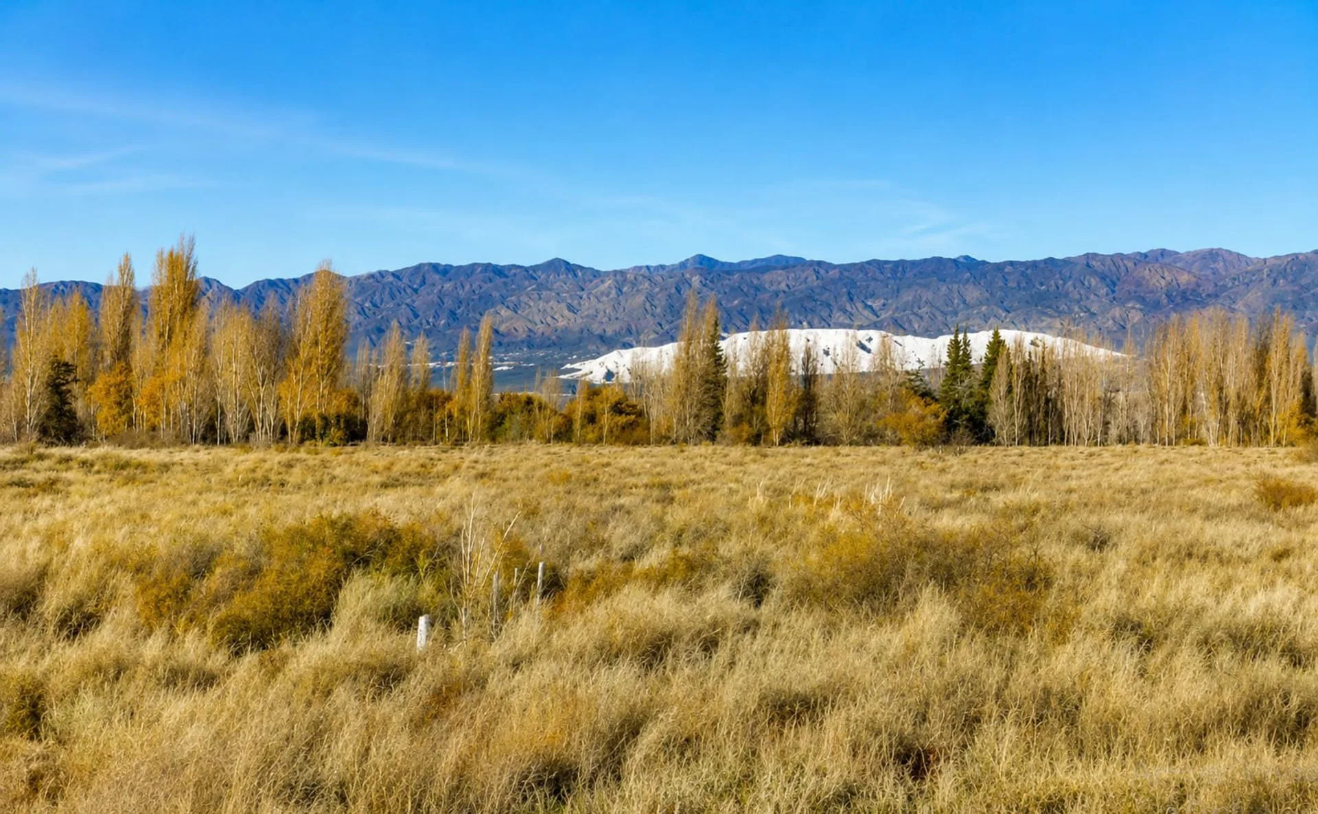 TERRENO EN ALQUILER. 19348 M2. LAS FLORES, IGLESIA foto 3