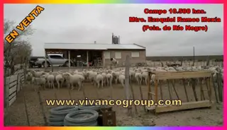 Campo 10500 has. - Ministro Ramos Mexía - Provincia de Río Negro-Patagonia - Argentina foto 5