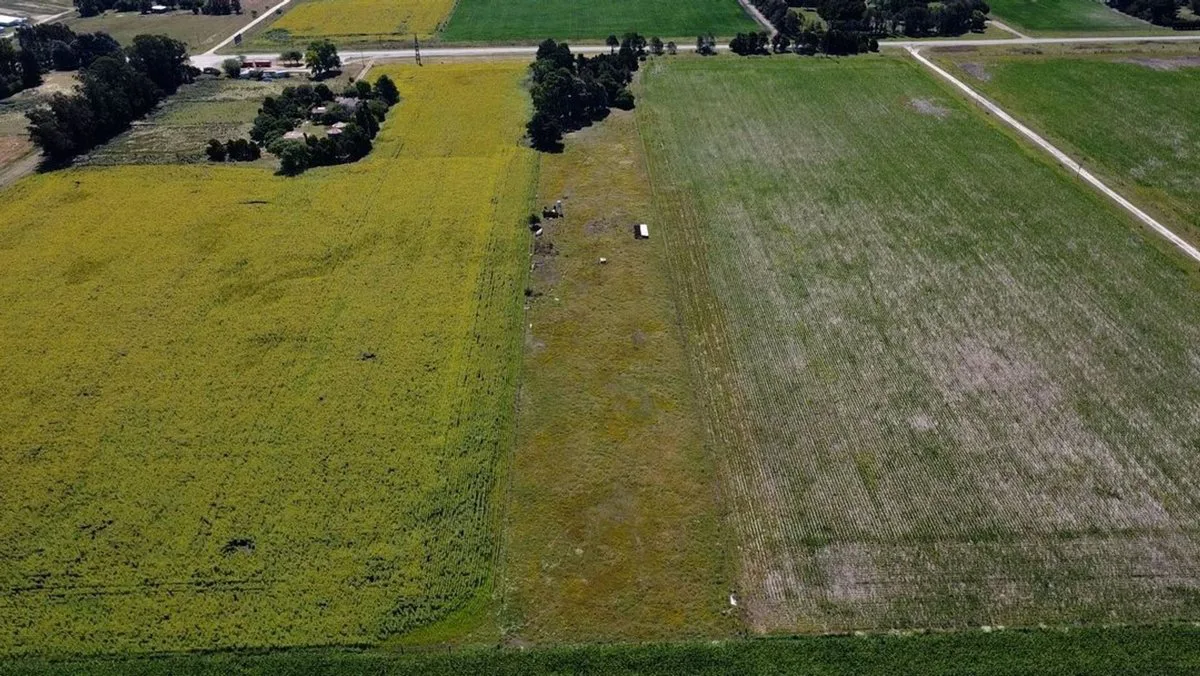 VENTA QUINTA DE 2 HECTARES RUTA 88 LA BALLENERA foto 3