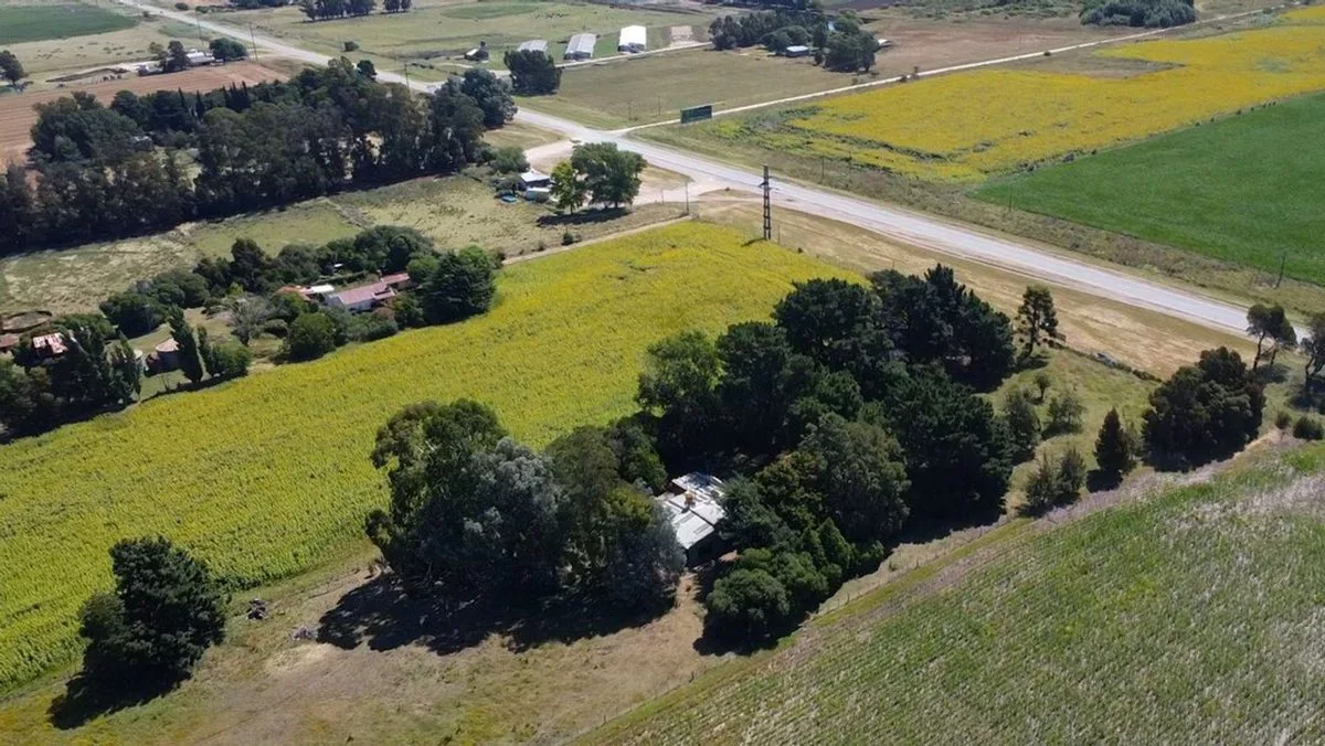 VENTA QUINTA DE 2 HECTARES RUTA 88 LA BALLENERA foto 4