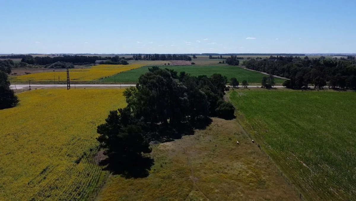 VENTA QUINTA DE 2 HECTARES RUTA 88 LA BALLENERA foto 5