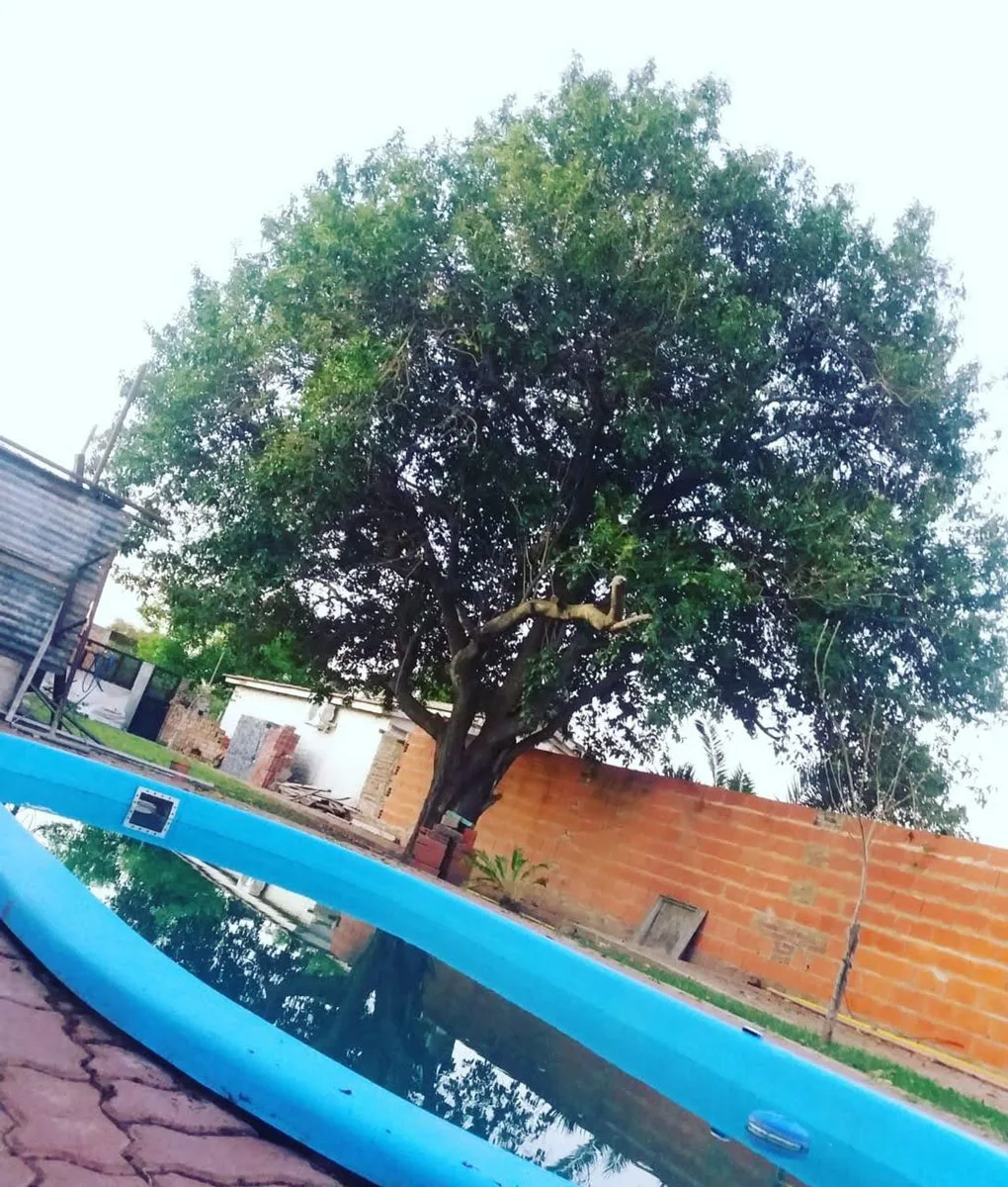 Casa con pilet en puerto Gaboto foto 4