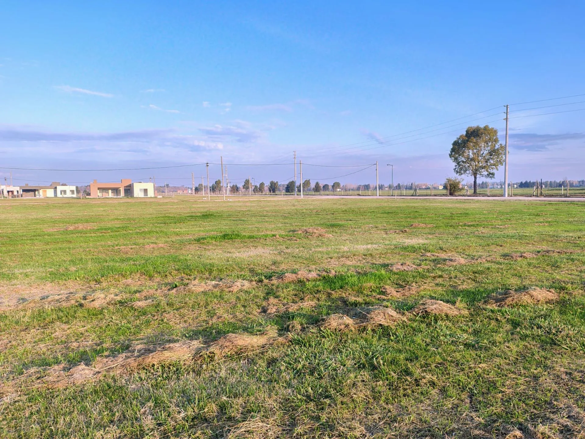 TERRENO EN VENTA SAN VICENTE FINCAS JOVEN foto 3