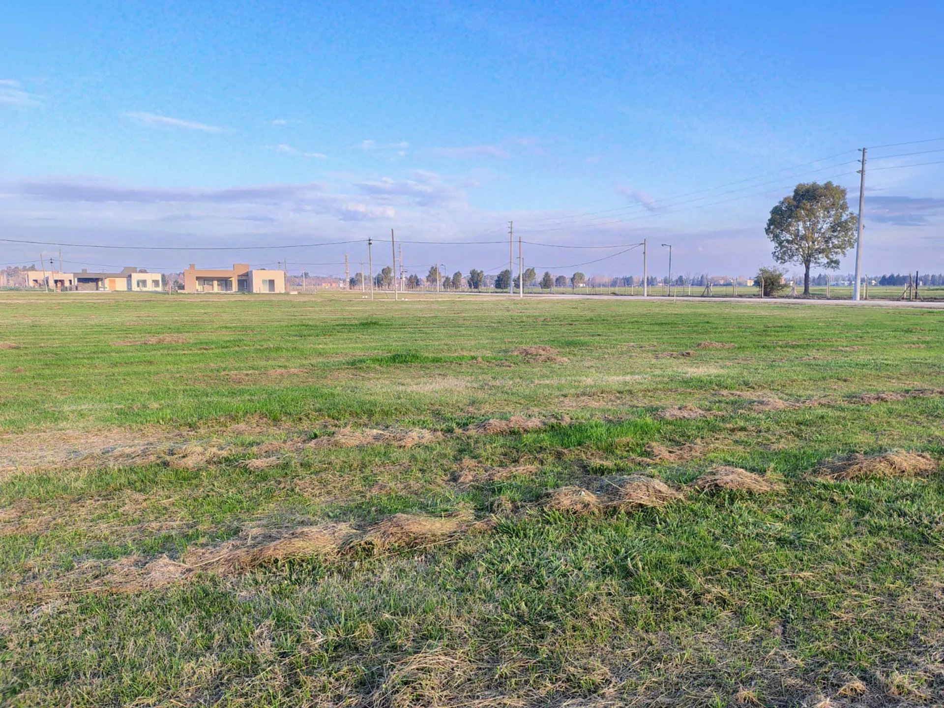 TERRENO EN VENTA SAN VICENTE FINCAS JOVEN foto 4