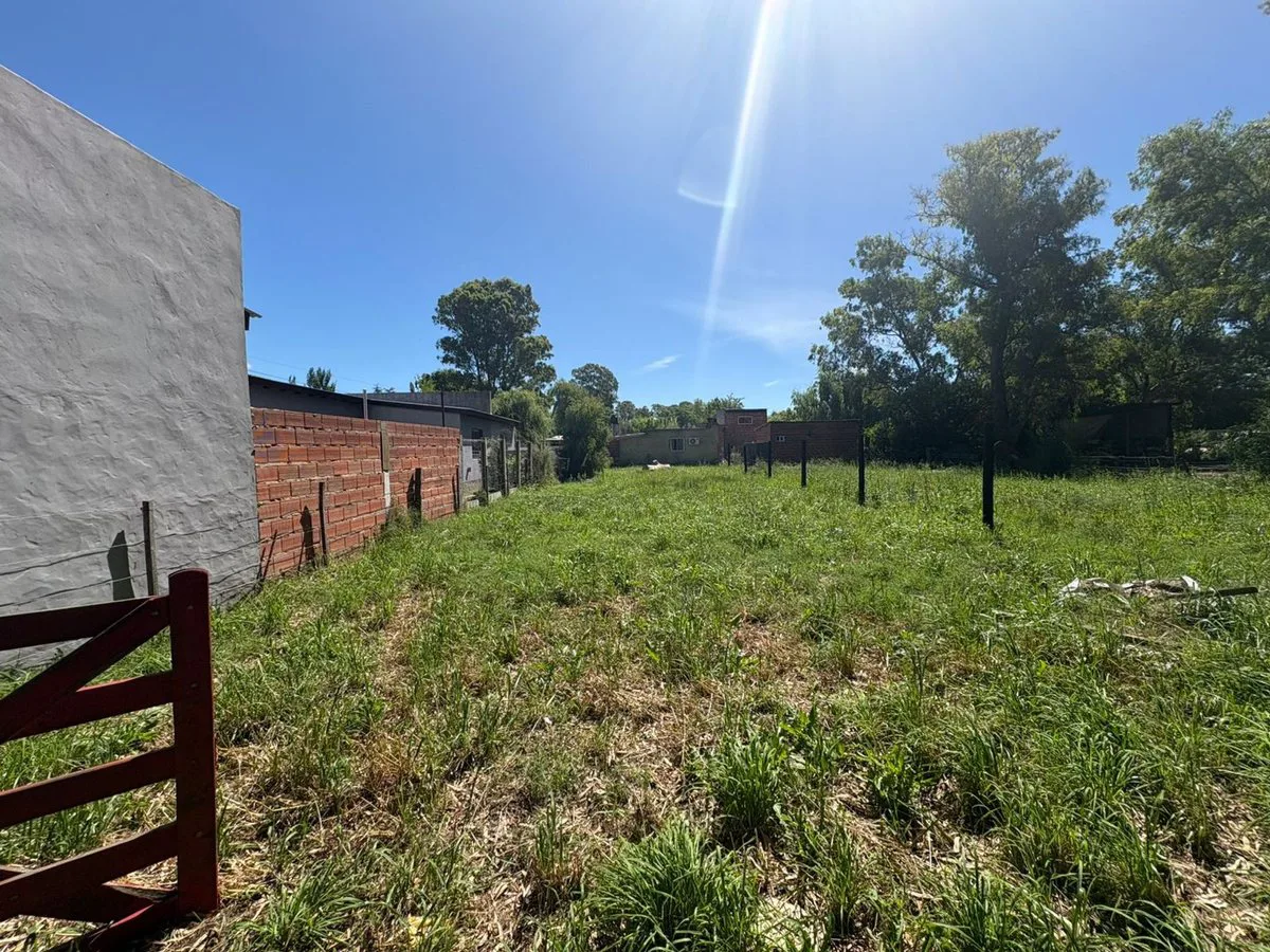 VENTA TERRENO EN SAN MIGUEL DEL MONTE foto 2