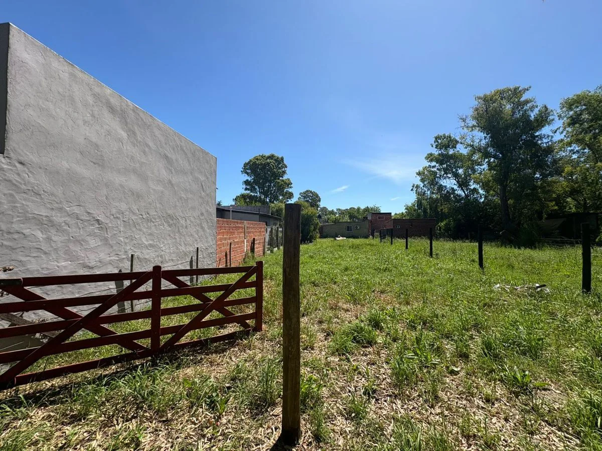 VENTA TERRENO EN SAN MIGUEL DEL MONTE foto 3