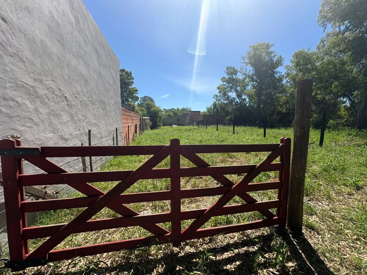 VENTA TERRENO EN SAN MIGUEL DEL MONTE foto 4