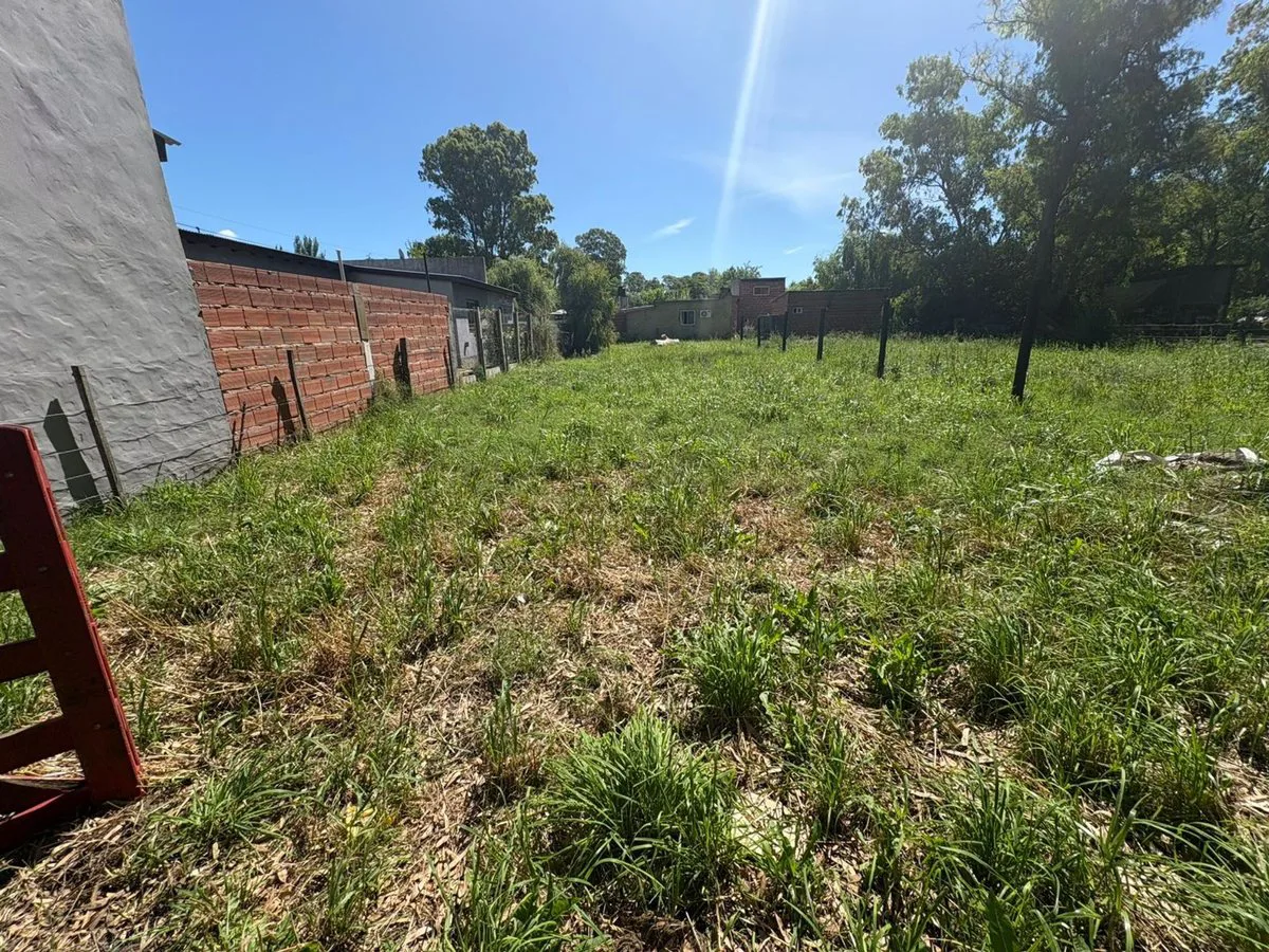 VENTA TERRENO EN SAN MIGUEL DEL MONTE foto 5