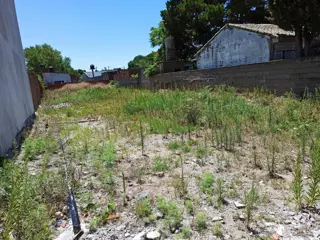 LOTE DE TERRENO CENTRO CALLE 28 foto 5