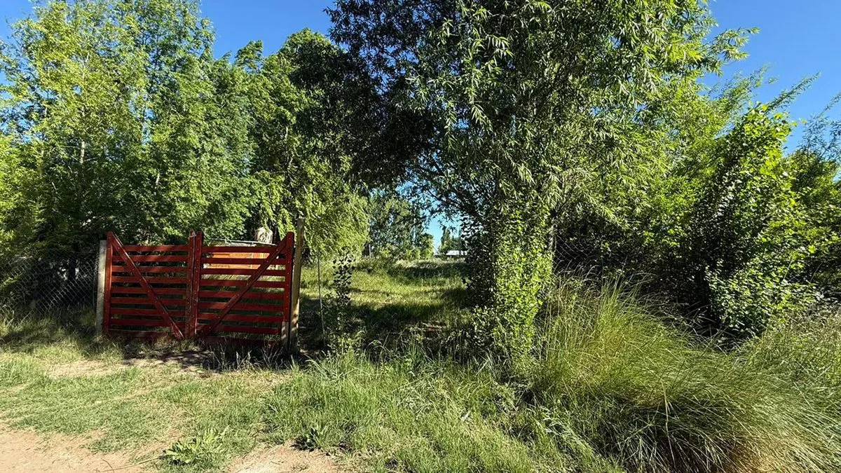 VENTA TERRENO EN CHINA MUERTA, PLOTTIER