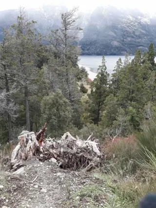 Parcela de 2,5ha en Lago Gutierrez, INCREÍBLE OPORTUNIDAD ivnersores Proyecto camping foto 4