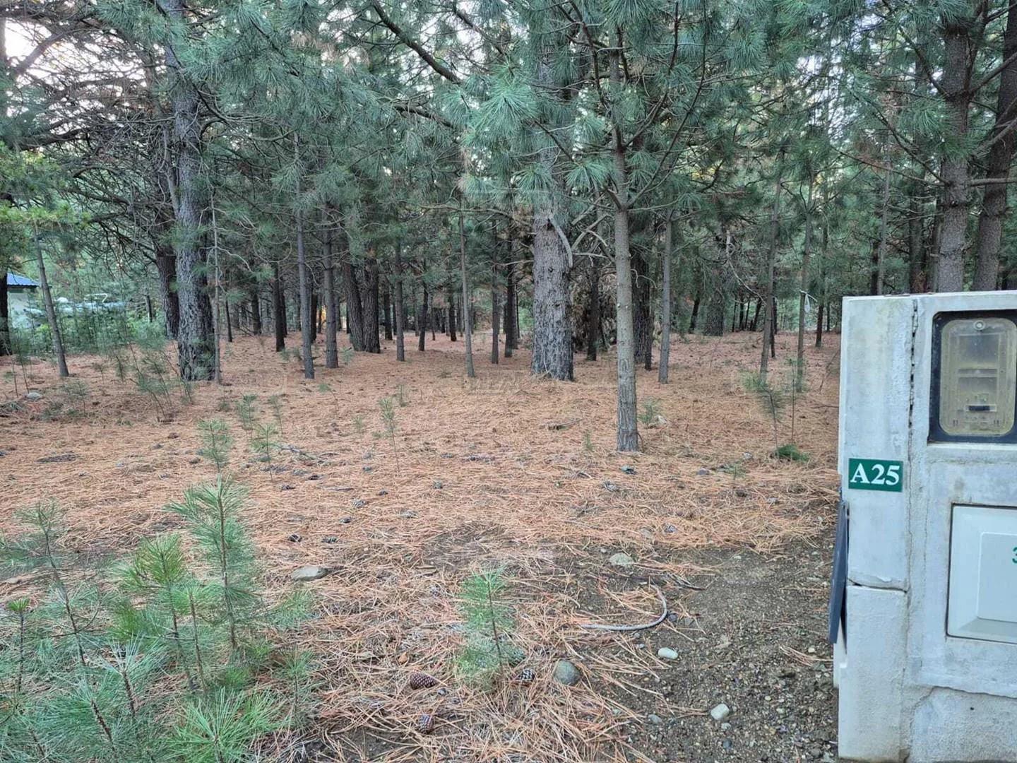 Club de campo Dos Valles 1500 foto 2