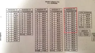 EXCELENTE LOTEO: SOLAR DE PIÑERO foto 3