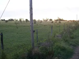 Campo en Venta en Colón, Colón, Entre Ríos foto 1