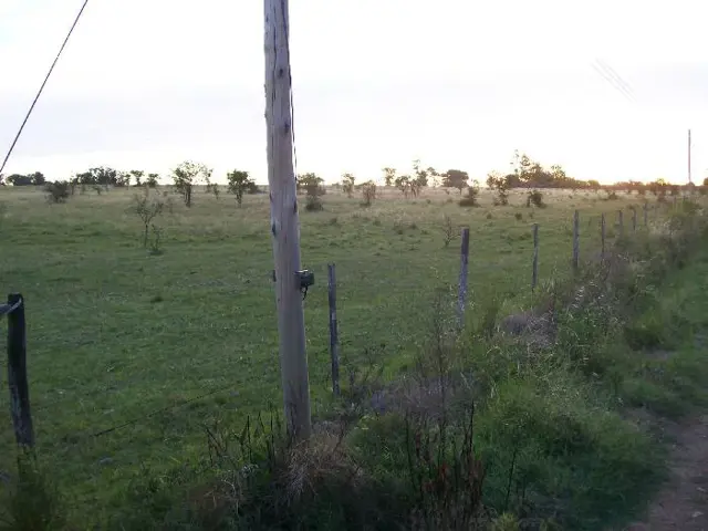 Campo en Venta en Colón, Colón, Entre Ríos