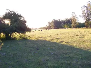 Campo en Venta en Colón, Colón, Entre Ríos foto 5