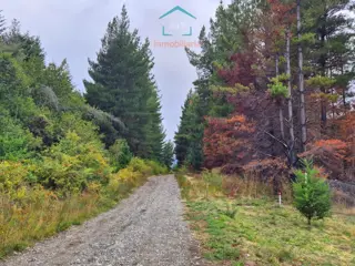 (097) Terreno en Mallín Ahogado de 7295 m² foto 1