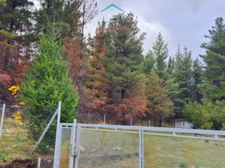 (097) Terreno en Mallín Ahogado de 7295 m² foto 2