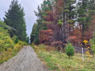 (097) Terreno en Mallín Ahogado de 7295 m² foto 3