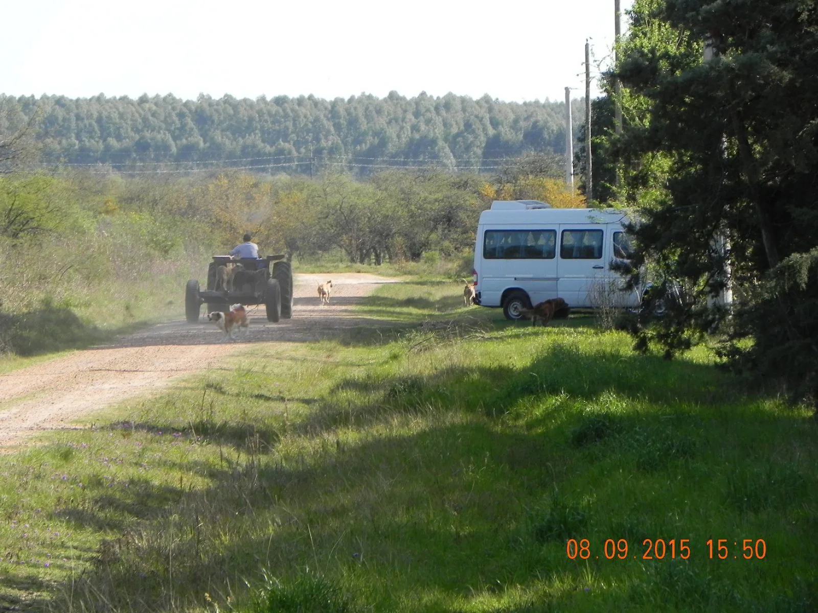 HERMOSO LOTE DE TERRENO EN FEDERACION ENTRE RIOS foto 2