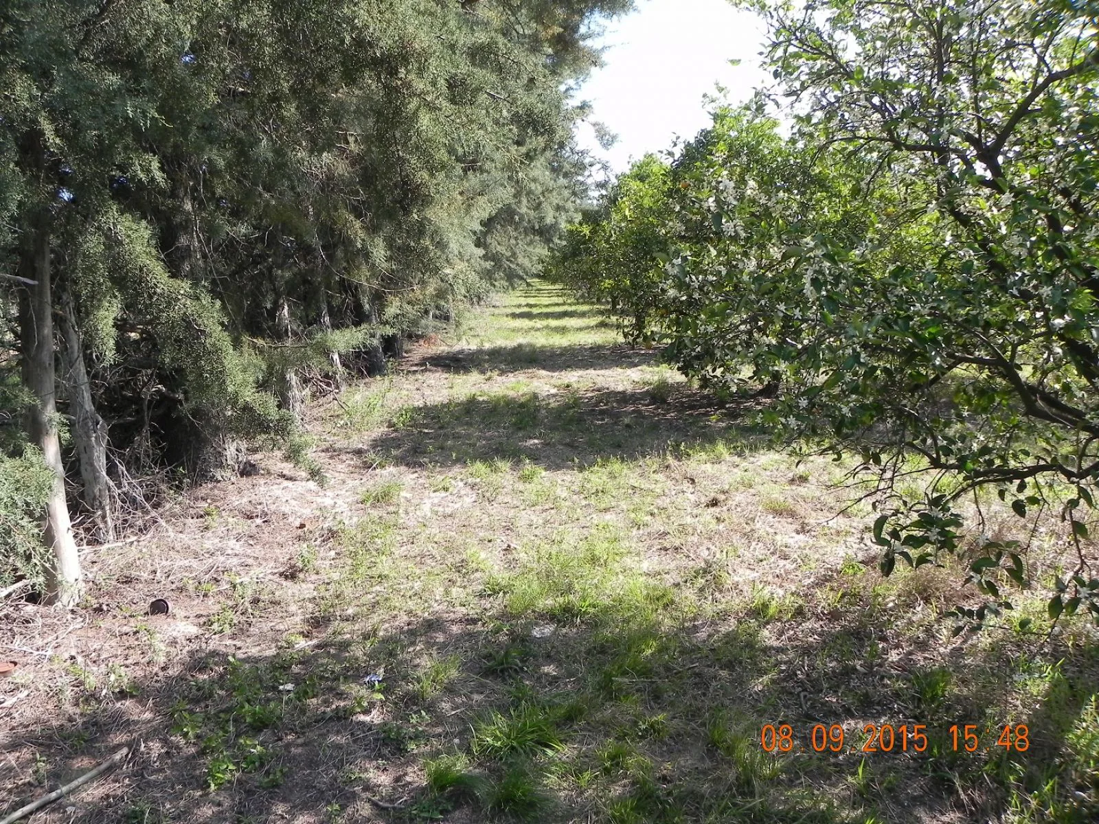 HERMOSO LOTE DE TERRENO EN FEDERACION ENTRE RIOS foto 3