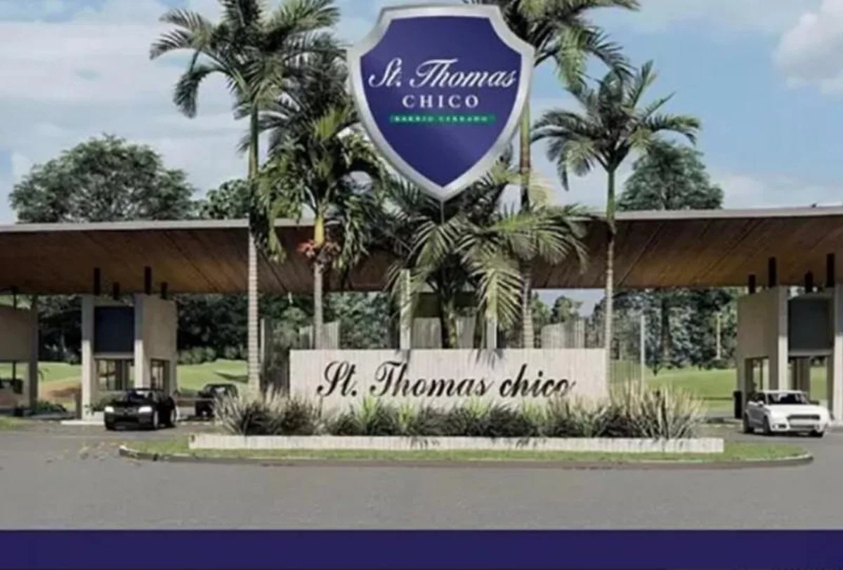 Saint Thomas Chico - Lote: 502 foto 5