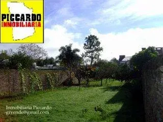 Lote Terreno en Venta Gral. Rodríguez Centro Piccardo foto 2