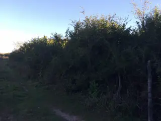 Lote de terreno / campo foto 3