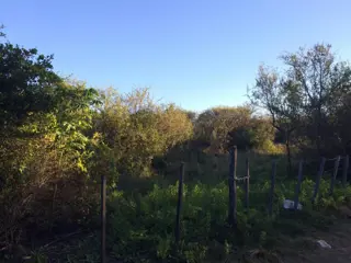 Lote de terreno / campo foto 5
