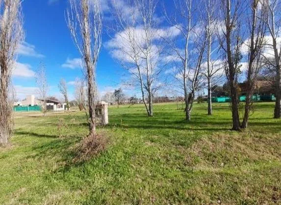 Lotes En Ayres De Los Arroyos, Luján En Venta foto 3