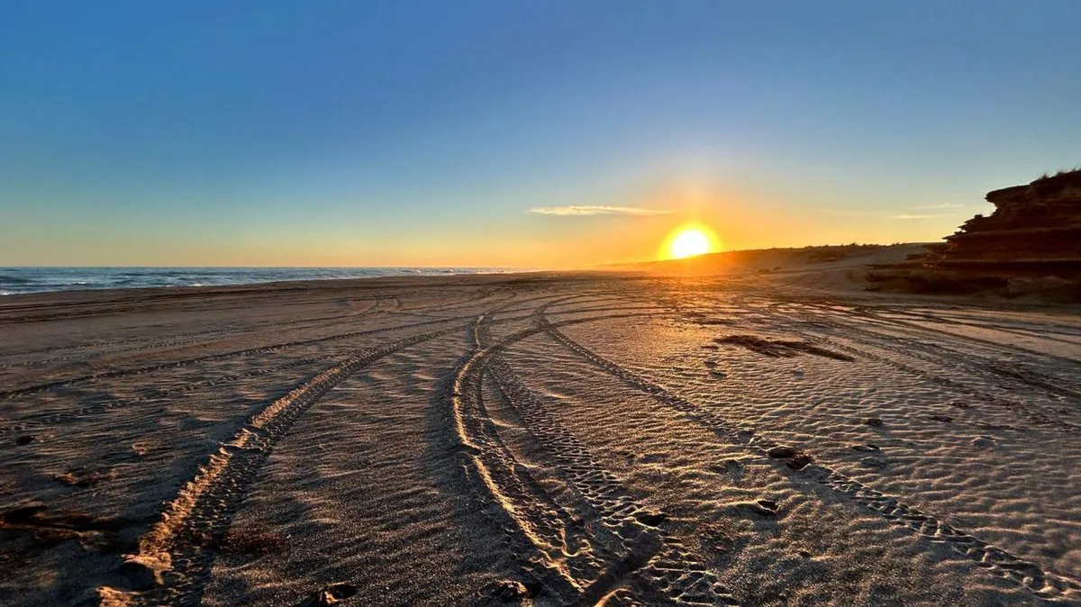VENTA CAMPO DE 82 HA EN MEDANO BLANCO NECOCHEA