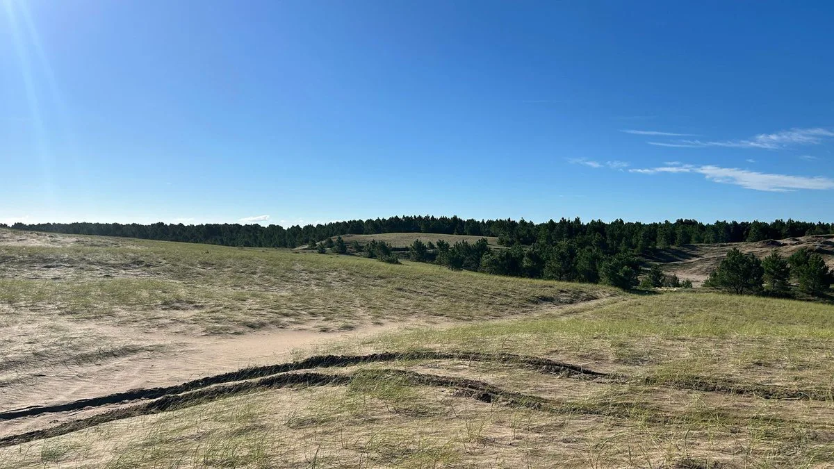 VENTA CAMPO DE 82 HA EN MEDANO BLANCO NECOCHEA foto 2