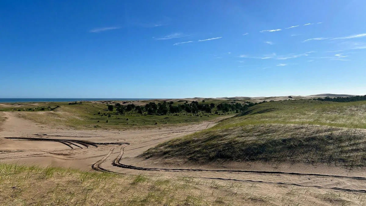VENTA CAMPO DE 82 HA EN MEDANO BLANCO NECOCHEA foto 3
