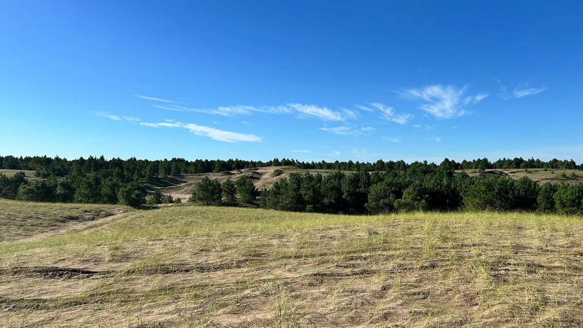VENTA CAMPO DE 82 HA EN MEDANO BLANCO NECOCHEA foto 4