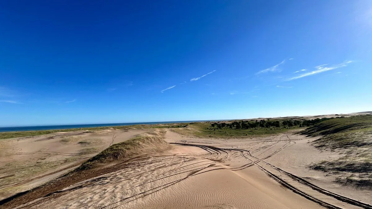 VENTA CAMPO DE 82 HA EN MEDANO BLANCO NECOCHEA foto 5