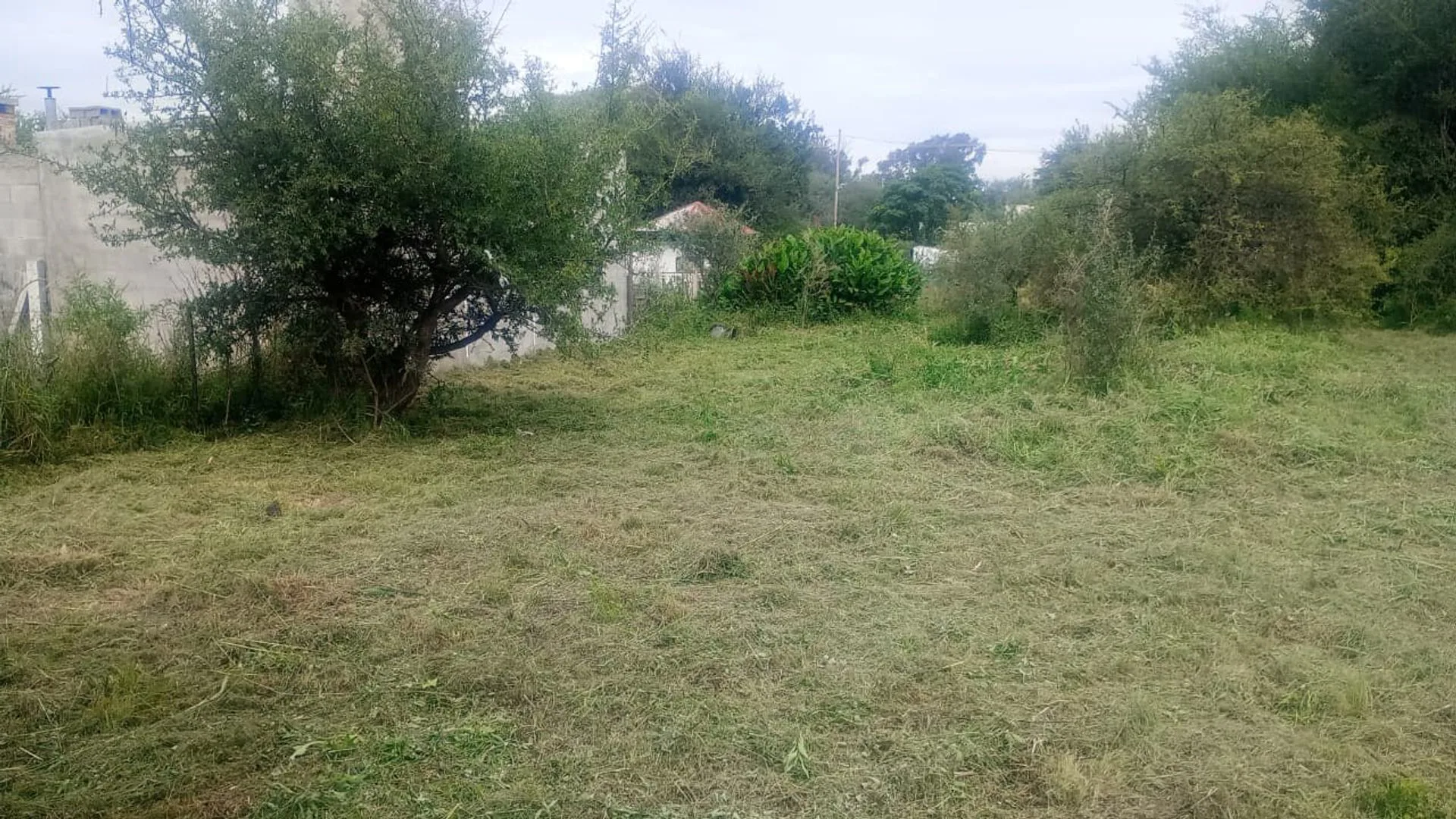 4 LOTES 480M2 C/U ANISACATE OPORTUNIDAD INVERSION foto 2