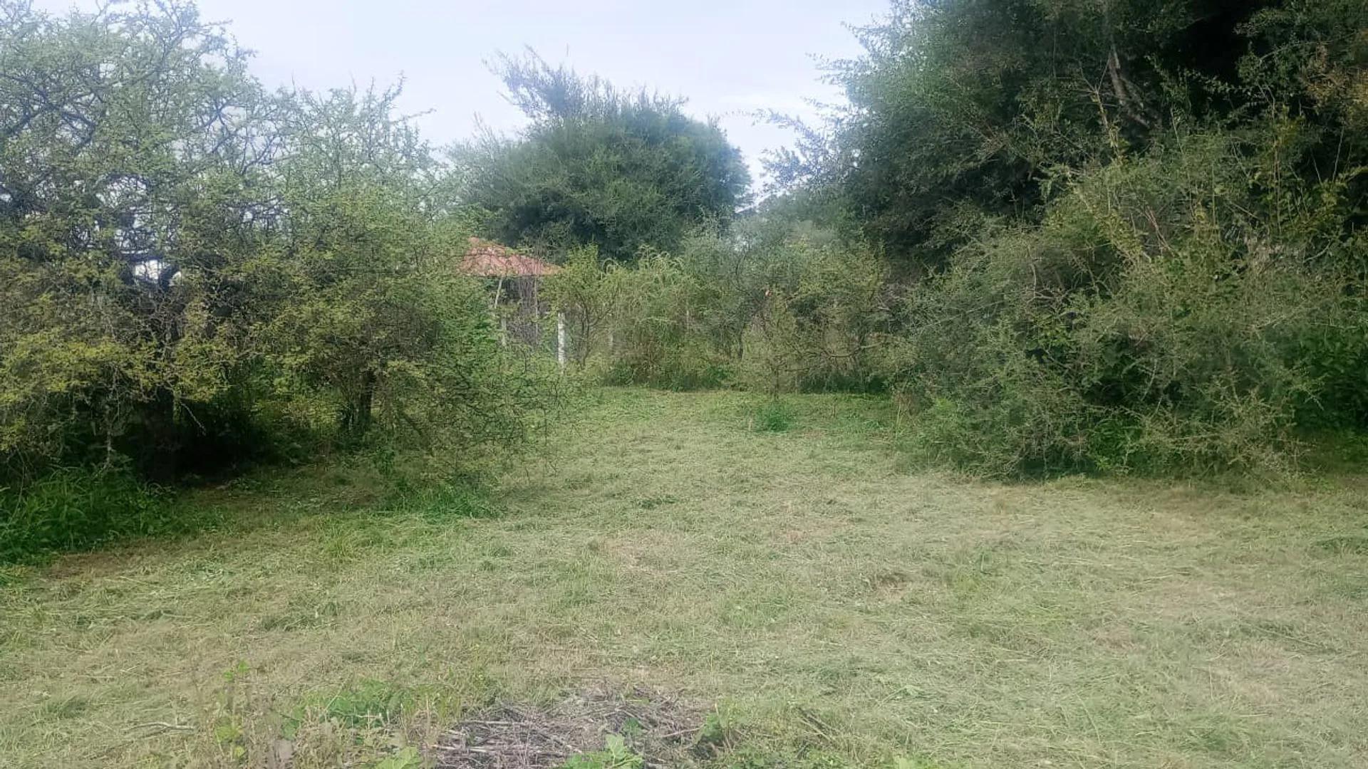 4 LOTES 480M2 C/U ANISACATE OPORTUNIDAD INVERSION foto 4
