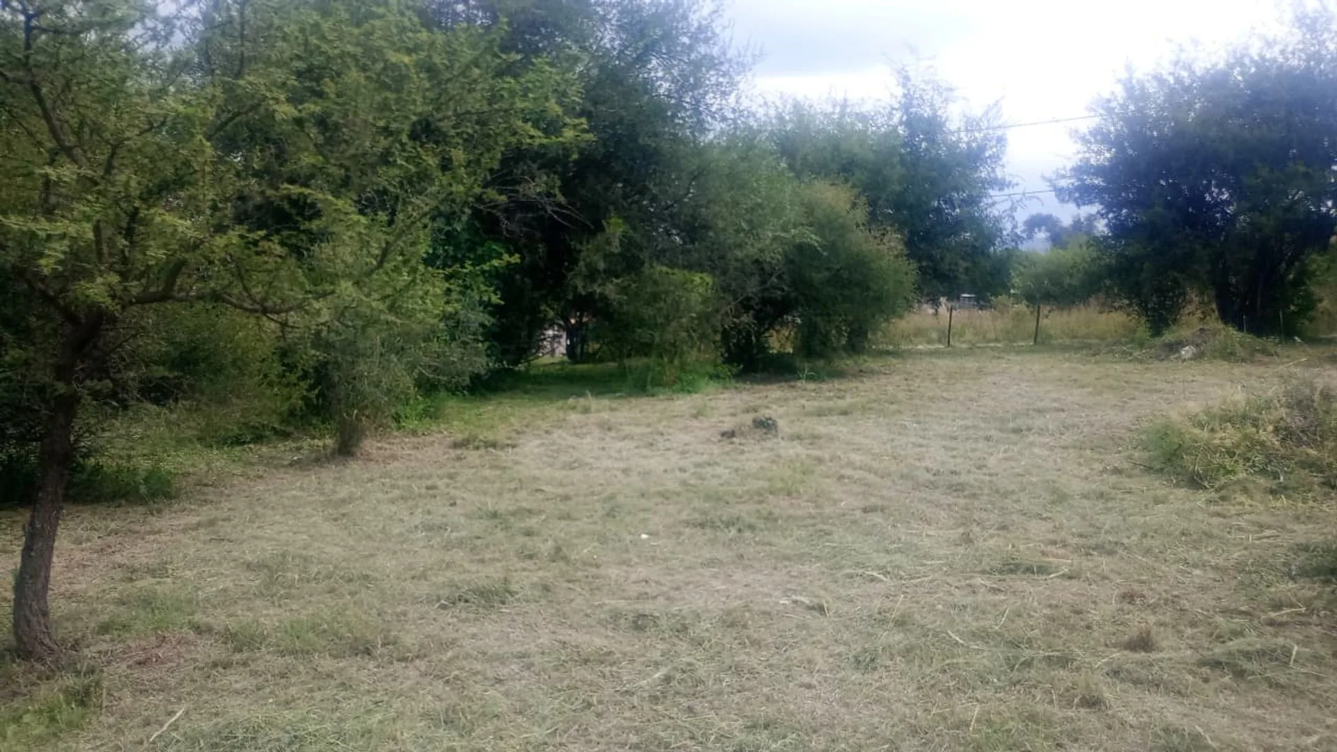 4 LOTES 480M2 C/U ANISACATE OPORTUNIDAD INVERSION foto 5
