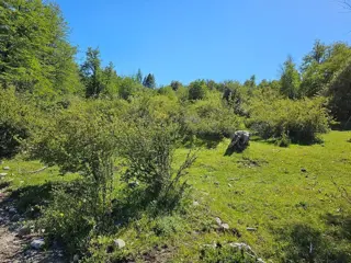 HERMOSO TERRENO EN SECCIÓN LAZO LEZANA, CHOLILA, CHUBUT foto 1