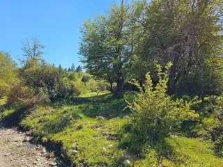HERMOSO TERRENO EN SECCIÓN LAZO LEZANA, CHOLILA, CHUBUT foto 5