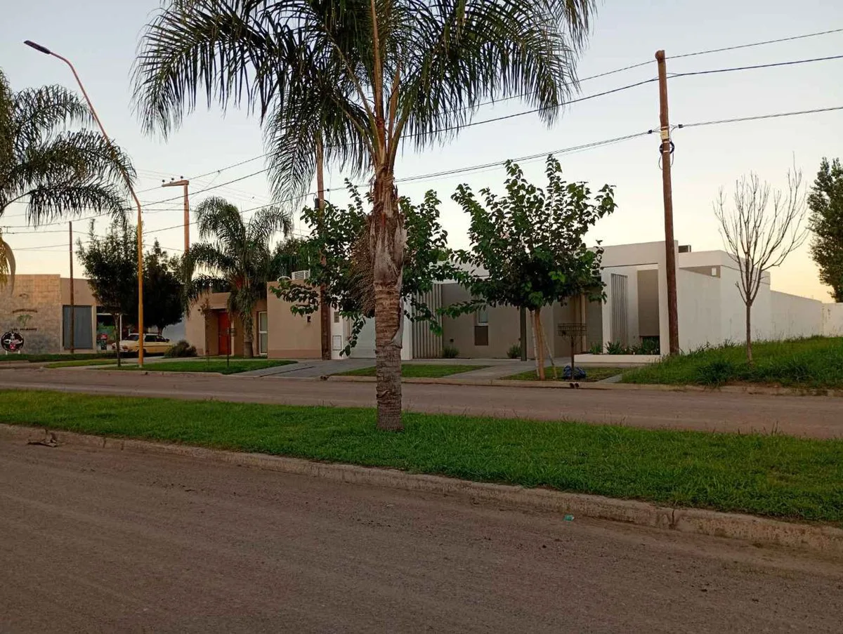 VENTA LOTE PALMARES 3 foto 2