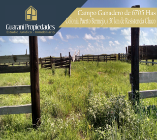 Campo Ganadero 6700 Has a 50 km de Resistencia | en VENTA | foto 2