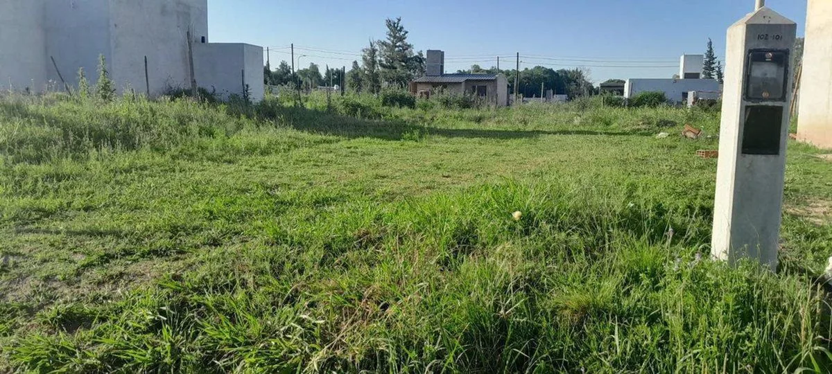 VENTA TERRENO PORTALES DEL TALA SE ESCUCHA OFERTA foto 5