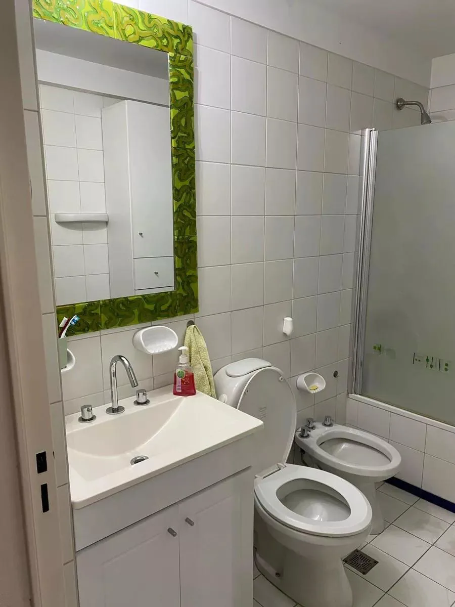 1-bedroom apartment in Recoleta – photo 2 of 14