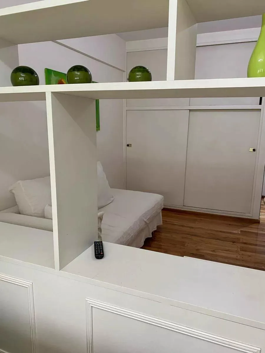 1-bedroom apartment in Recoleta – photo 11 of 14