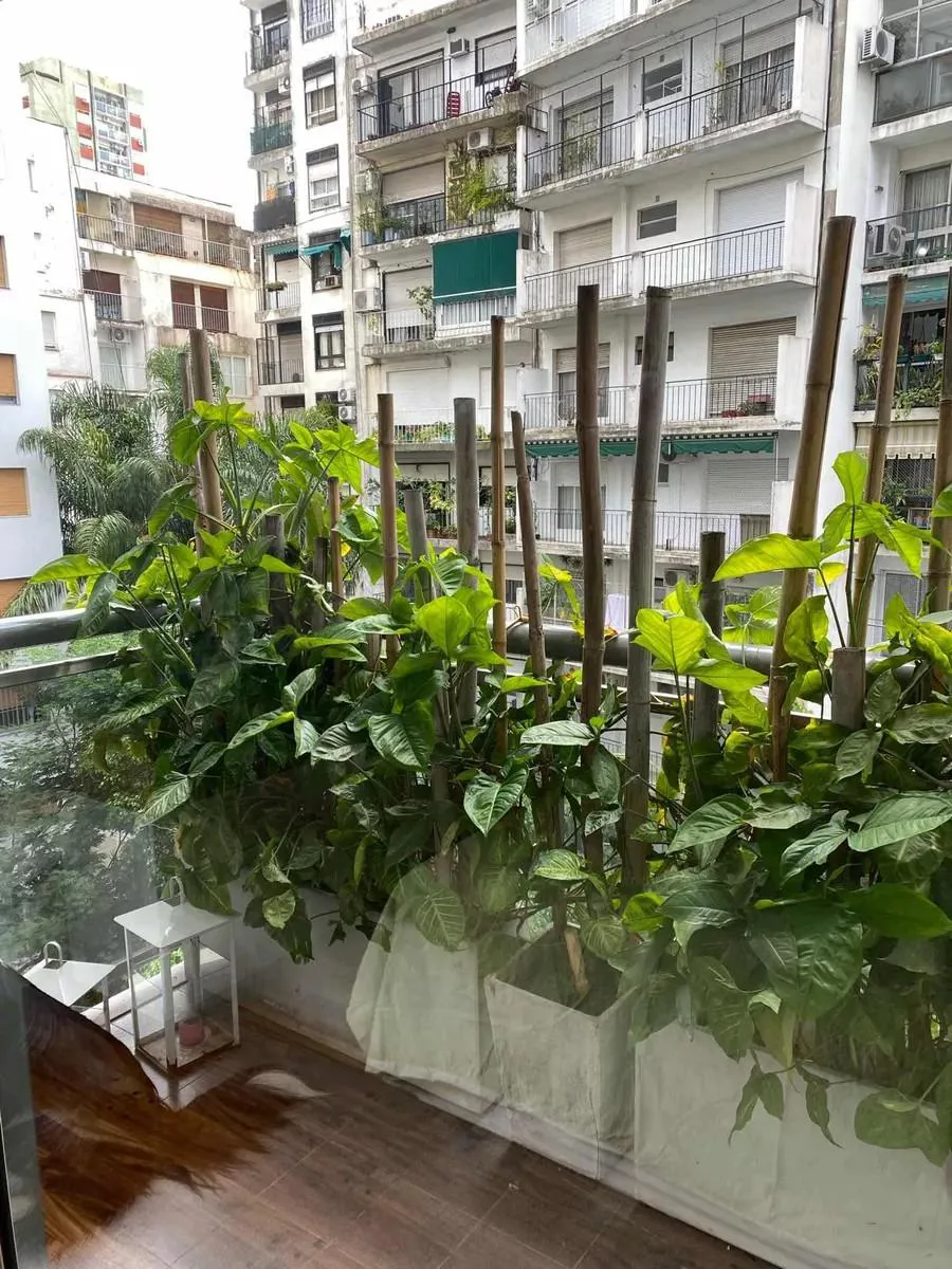 1-bedroom apartment in Recoleta – photo 13 of 14