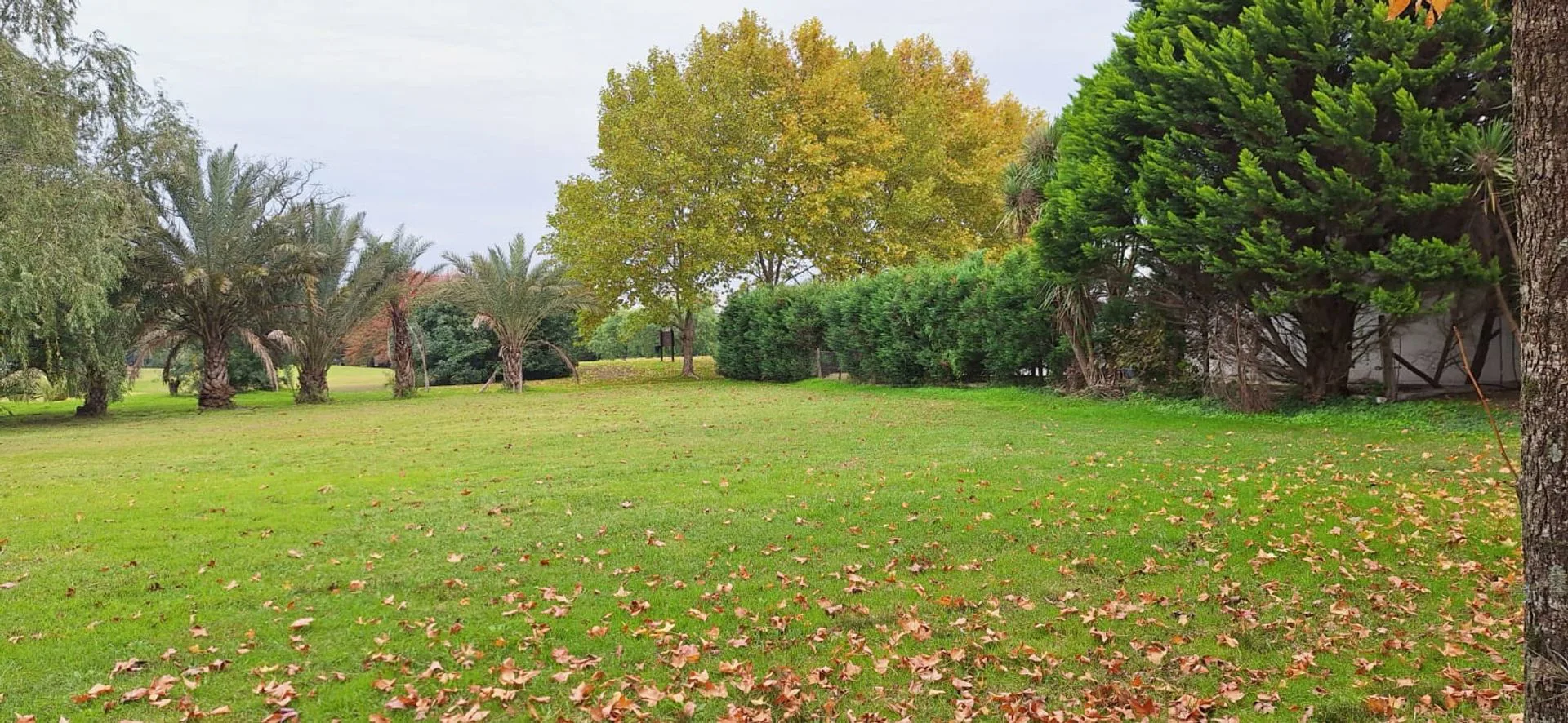 Terreno Club de Campo de las Cañuelas foto 3