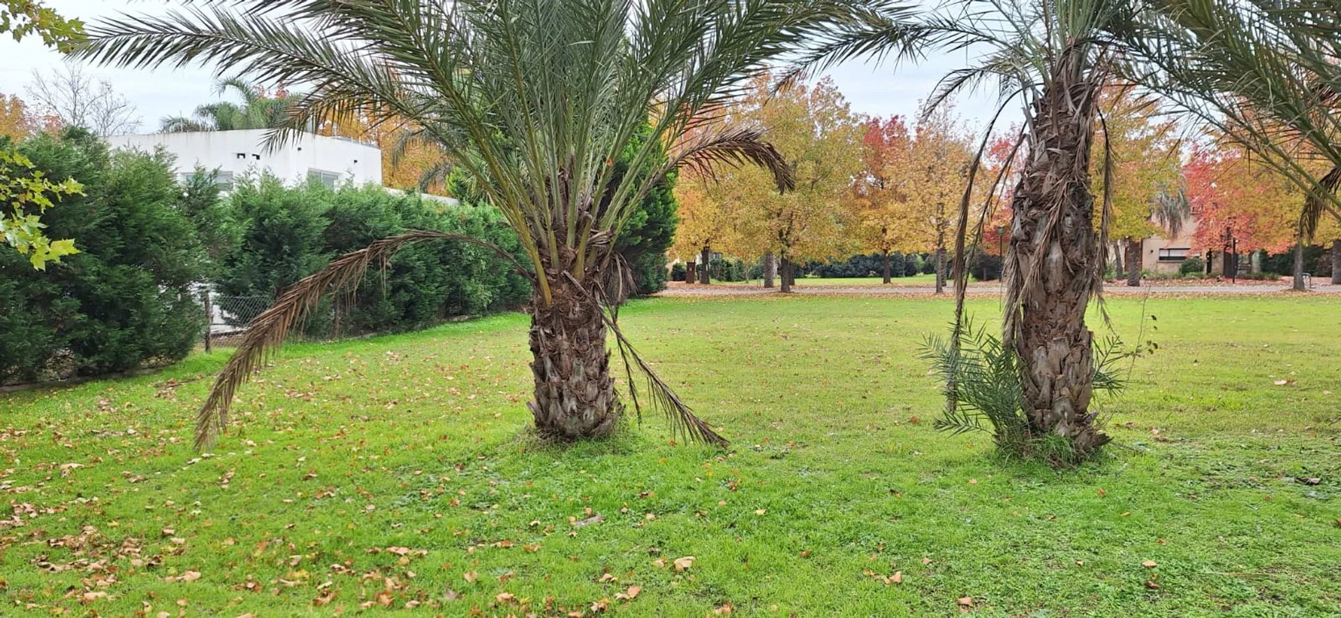 Terreno Club de Campo de las Cañuelas foto 5