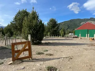 Meliquina foto 4